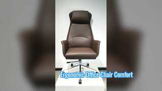 Office Chair Comfort & Productivity Boost