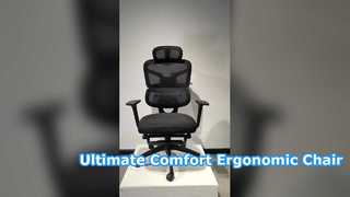Ultimate Office Chair Comfort & Support