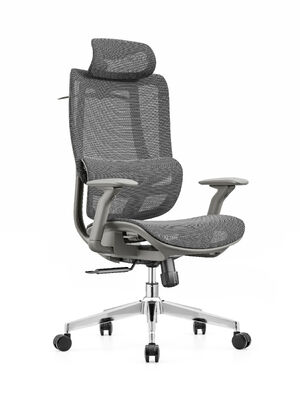 Good price Adjustable Height Office Swivel Chair Breathable Mesh Fabric Comfortable Ergonomic Support Ideal for Office online